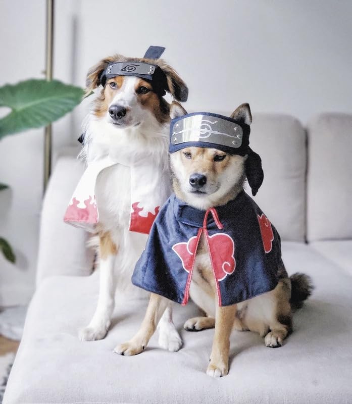 ChoChoCho Anime Cosplay Ninja, Dog Costume & Cat Costume for Halloween, Ninja Cloak for Dogs and Cats, Anime Plush Robe for Dogs Cats Puppies (M/L, Akatsuki)