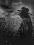 Raxwalker Halloween Plague Doctor Mask Steampunk Cosplay Costume Bird Beak Mask Long Beak Raven Masks Prop for Men and Boys(1 Pc Black)