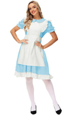 Blue Maid Costume Women Alice White Apron Dress Lolita Princess Wonderland Costumes XL