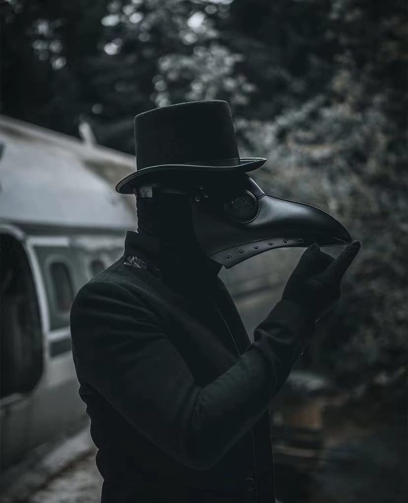 Raxwalker Halloween Plague Doctor Mask Steampunk Cosplay Costume Bird Beak Mask Long Beak Raven Masks Prop for Men and Boys(1 Pc Black)