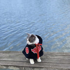 ChoChoCho Anime Cosplay Ninja, Dog Costume & Cat Costume for Halloween, Ninja Cloak for Dogs and Cats, Anime Plush Robe for Dogs Cats Puppies (M/L, Akatsuki)