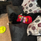 SUEOSU Christmas Dog Shirts for Pet Clothes Soft Breathable Puppy Shirts Printed Pet T-Shirt Puppy Dog Christmas Cosplay Xmas Pet Apparel for Small Medium Large Dogs and Cats (Large, RED-1)