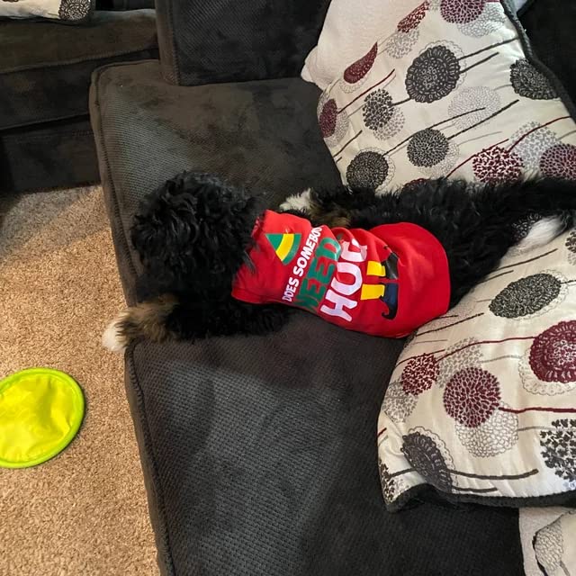 SUEOSU Christmas Dog Shirts for Pet Clothes Soft Breathable Puppy Shirts Printed Pet T-Shirt Puppy Dog Christmas Cosplay Xmas Pet Apparel for Small Medium Large Dogs and Cats (Large, RED-1)