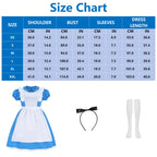 Cabeny Adult Princess Costume Women Blue Dress Puff Sleeve Maid Costumes Fancy Halloween Dress Up CA044S