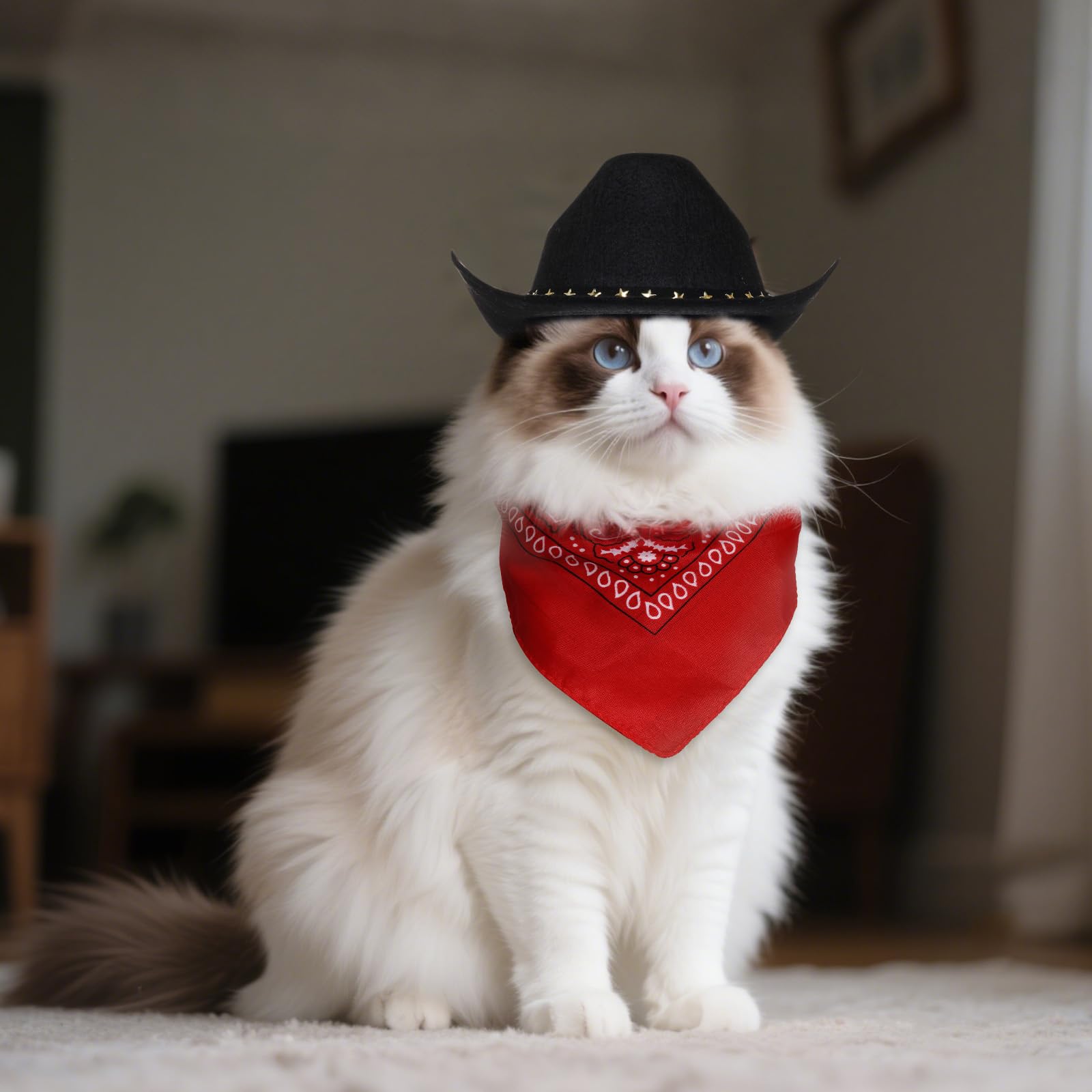 choyaxo Halloween Costumes for Dogs Cat Pet Cowboy Costume Cowboy Hat with Bandana Set for Halloween, Christmas, Holiday, Party, Cosplay (Black, Medium)