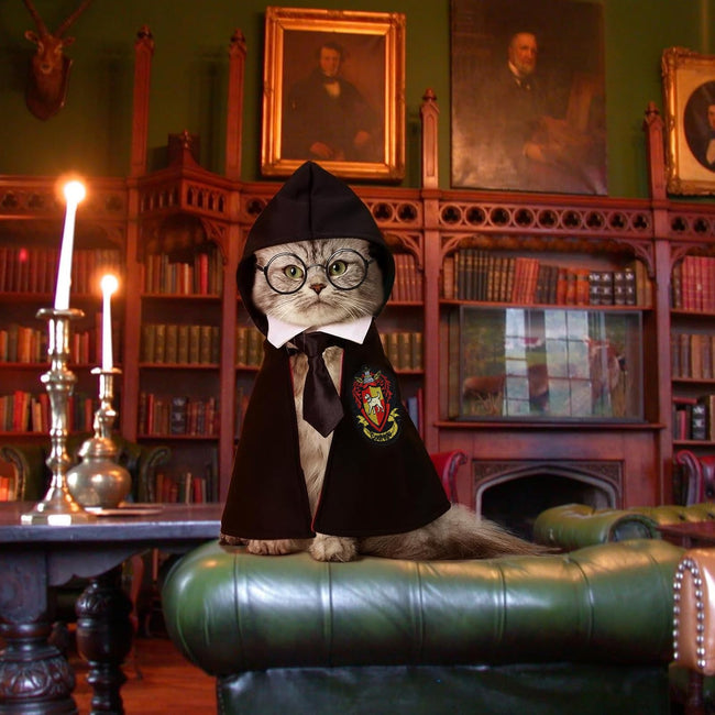 NIULA Cat Halloween Costume - Pet Wizard Costumes Mantle Magician Cosplay Clothes with Bowtie & Glasses Set, Festival Party Apparel for Small Pets Cats Dogs Main Image