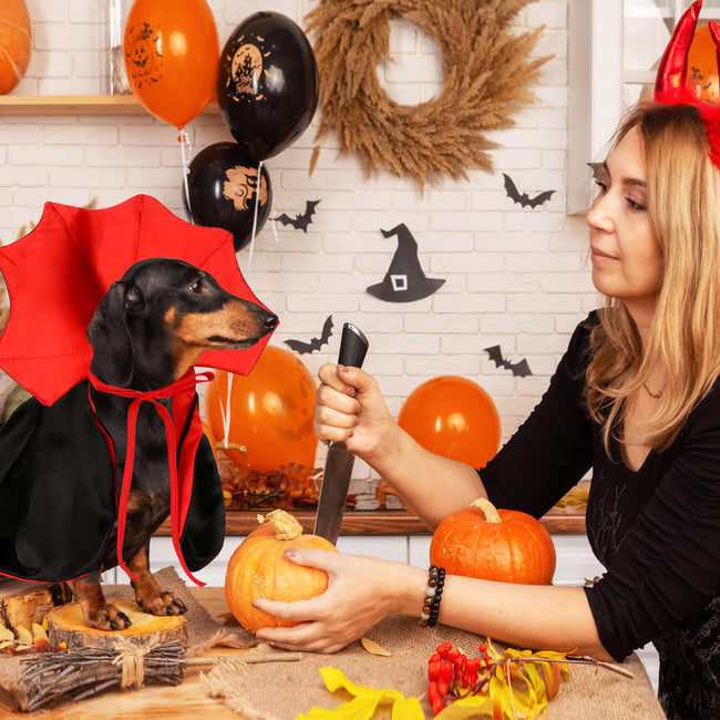 Rypet Cat Vampire Cloak Funny Dog Halloween Costumes Dog Mantle Apparel Pet Clothing Vampire Cape for Cat Puppy Small Dog Main Image