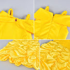 Princess Costume for Girls Birthday Party Fancy Dress Up with Accessories(Crown+Wand+Earrings+Gloves)