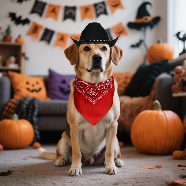choyaxo Halloween Costumes for Dogs Cat Pet Cowboy Costume Cowboy Hat with Bandana Set for Halloween, Christmas, Holiday, Party, Cosplay (Black, Medium) Main Image