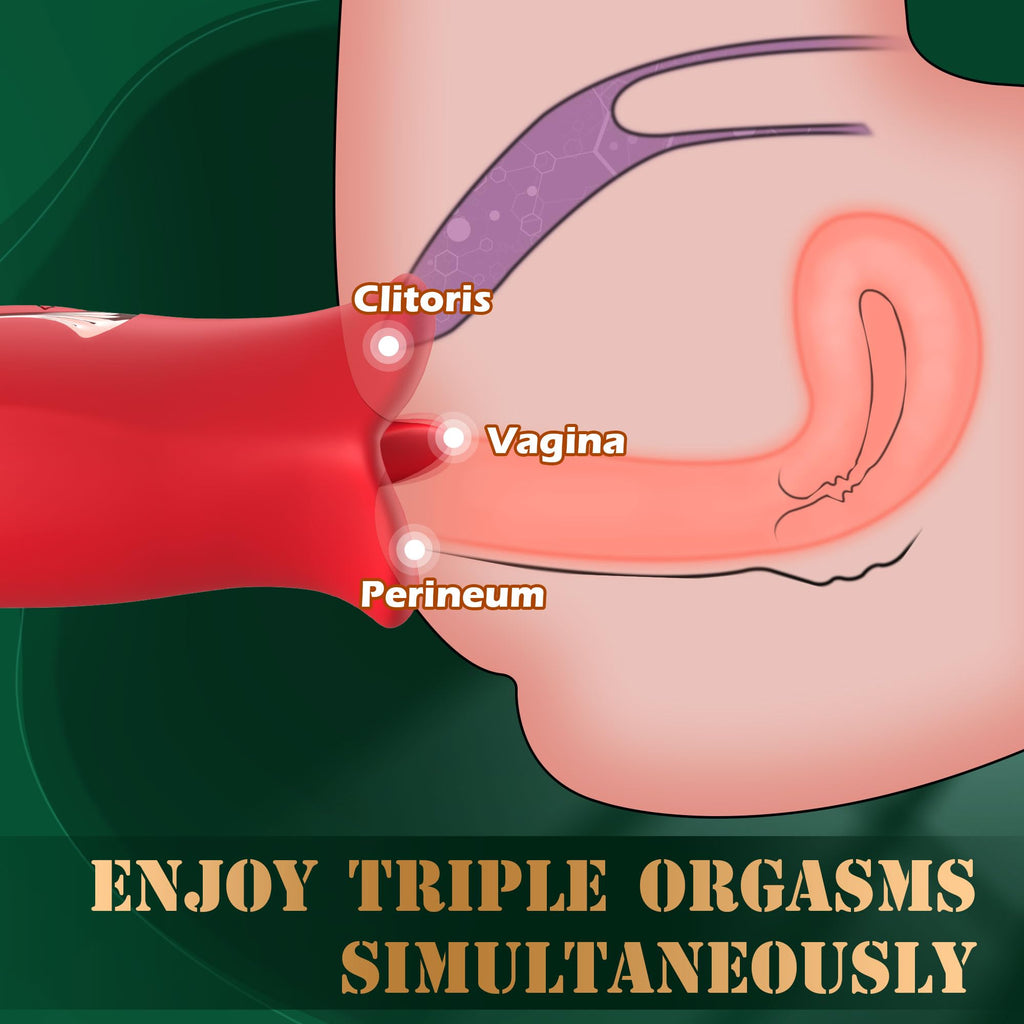 Adult Sex Toys Vibrator, Rose Toy, Rose Sex Stimulator for Women with 10 Vibration Modes and 10 French Kissing Modes, Tongue Sex Toy Vibrator, Clitoral Vibrator for Women, Adult Sex Toys