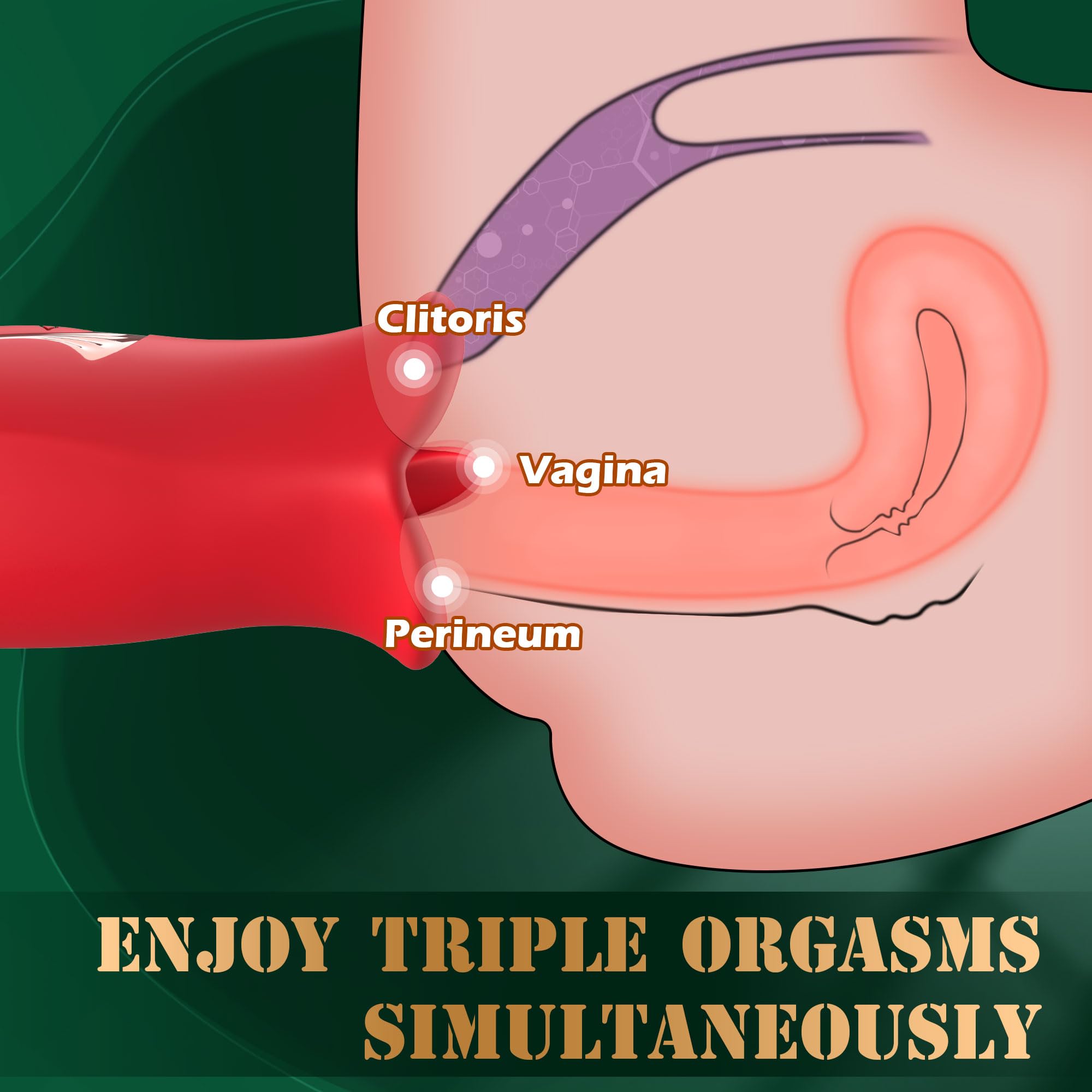 Adult Sex Toys Vibrator, Rose Toy, Rose Sex Stimulator for Women with 10 Vibration Modes and 10 French Kissing Modes, Tongue Sex Toy Vibrator, Clitoral Vibrator for Women, Adult Sex Toys