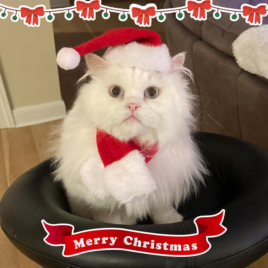 Enjoying Cat Christmas Costume, Santa Hat with Red Scarf for Cats Small Dogs, Rabbit Xmas Outfit, Pet Santa Claus Hat Scarf for Cold Day Head and Neck Warm, New Year Party Cosplay