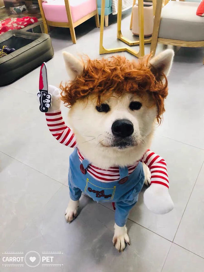 Pet Deadly Dog Costume, Cute Dog Cosplay Halloween Christmas Funny Pet Clothes Party Costume for Small Medium and Large Dogs (Small) Main Image