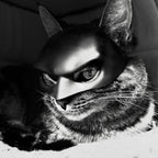 Cat Mask Cosplay, Cat Halloween Costumes, Funny Cat Costumes Accessories (Large)