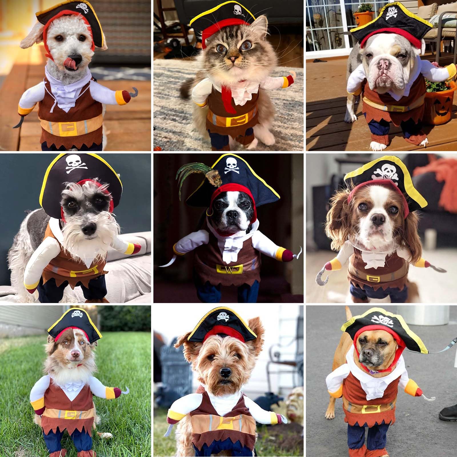 Dog Costume Pirates of The Caribbean Style, Novelty Pet Cosplay Funny Halloween Costumes Cat Pirate Clothing, Cool Dog Clothes for Small to Medium Dogs Cats, Corsair Dress Up Party Apparel (S)