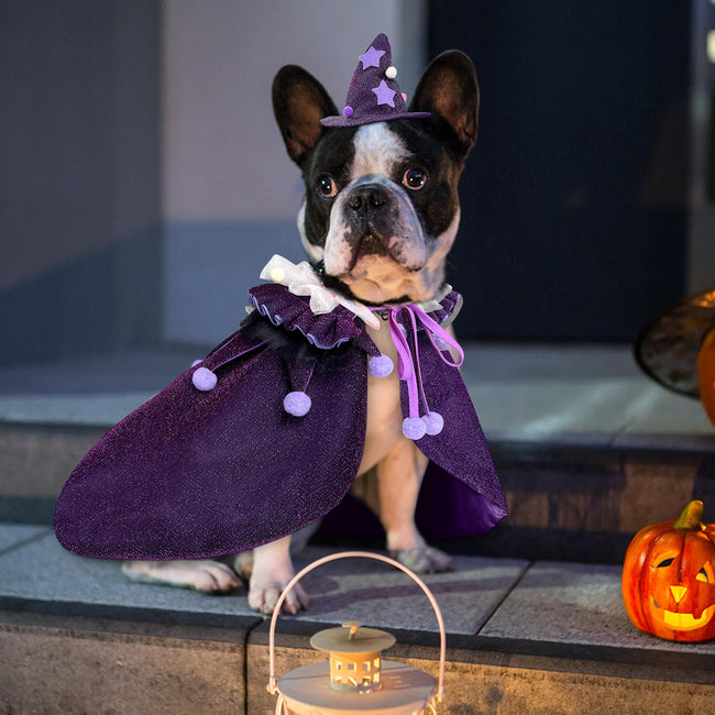 KOUPA Pet Halloween Costume with Hat, Dog Clothes Cosplay Wizard Cloak for Small Puppy Kitten Animal, Shiny Cat Outfit Suit for Party Holiday Christmas, Purple Main Image