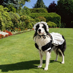 FLAdorepet Large Dog Dress Maid Costume with Headband,Halloween Lolita Costume Outfits for Extra Large Breed Dogs Girl,Puppy Christmas Holiday Wedding Princess Dress (Black, Large(Fit 40-50LBS))