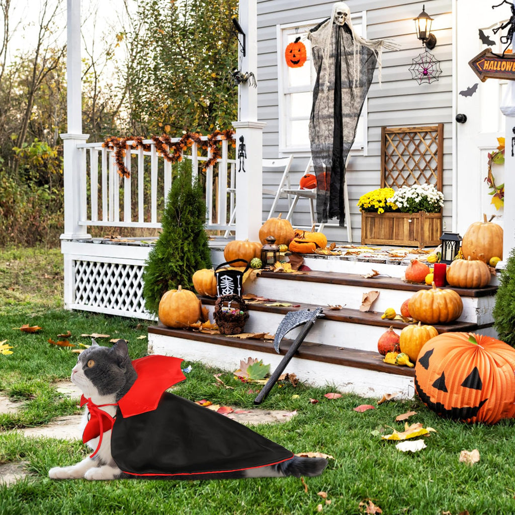 Rypet Cat Vampire Cloak Funny Dog Halloween Costumes Dog Mantle Apparel Pet Clothing Vampire Cape for Cat Puppy Small Dog