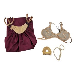 Adult Princess Leia Slave Cosplay Costume Bikini Carnival Outfit Dress Gold Bra Skirt Halloween Costume for Women (Gold, X-Small)